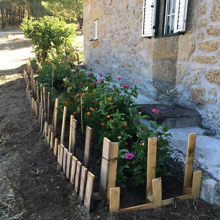 Casa De Malhoes Vilares エクステリア 写真